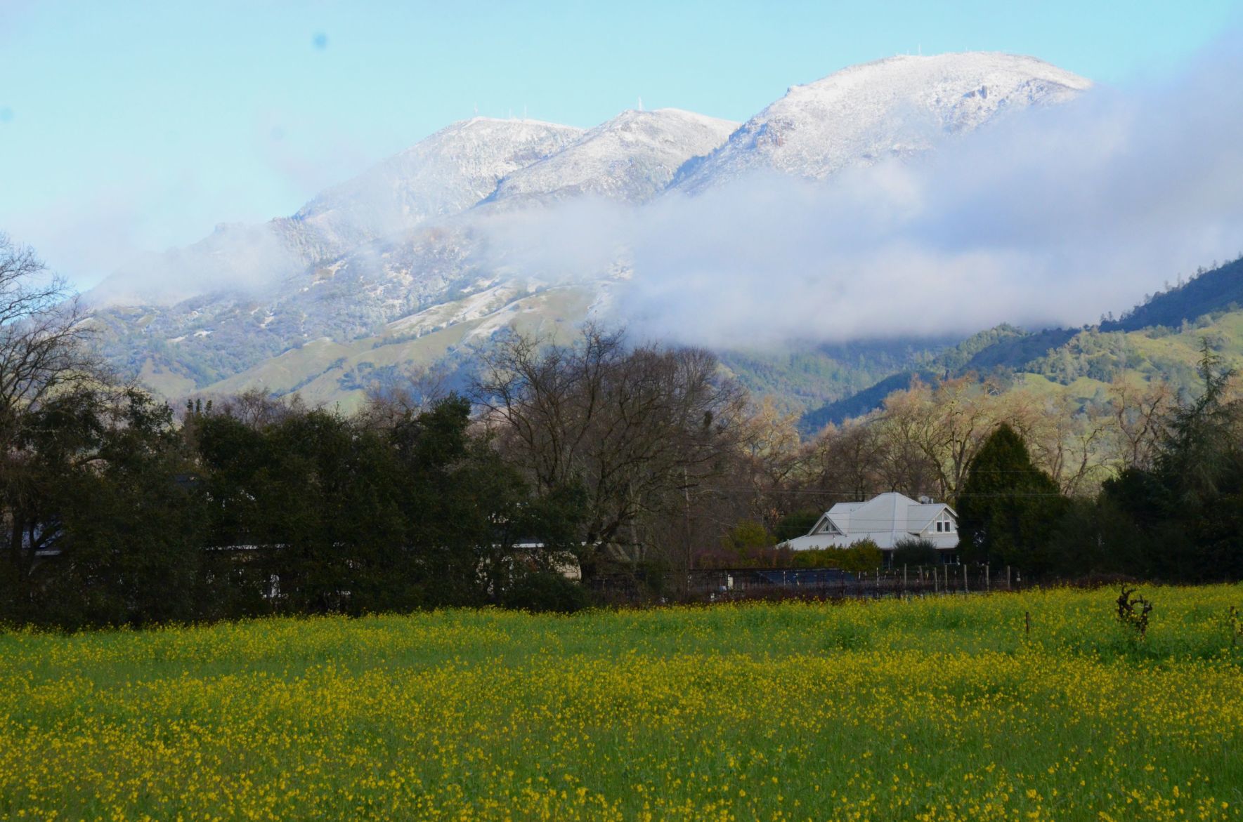 Snow on Mount St. Helena